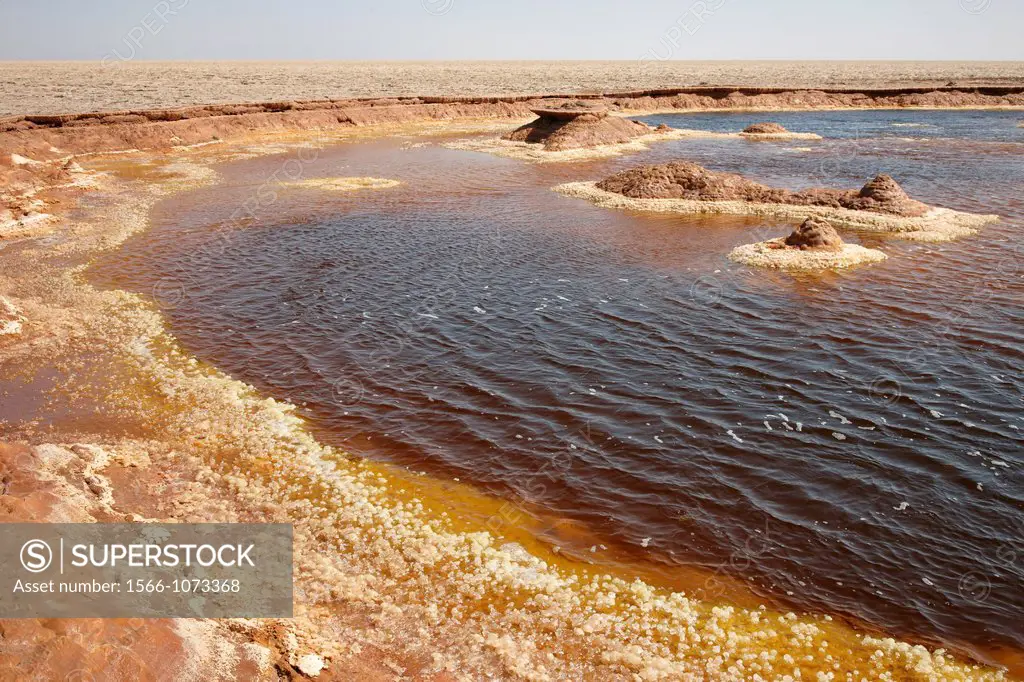 Salt Formations on Yellow Lake, Dallol, Danakil Desert, Ethiopia, Africa