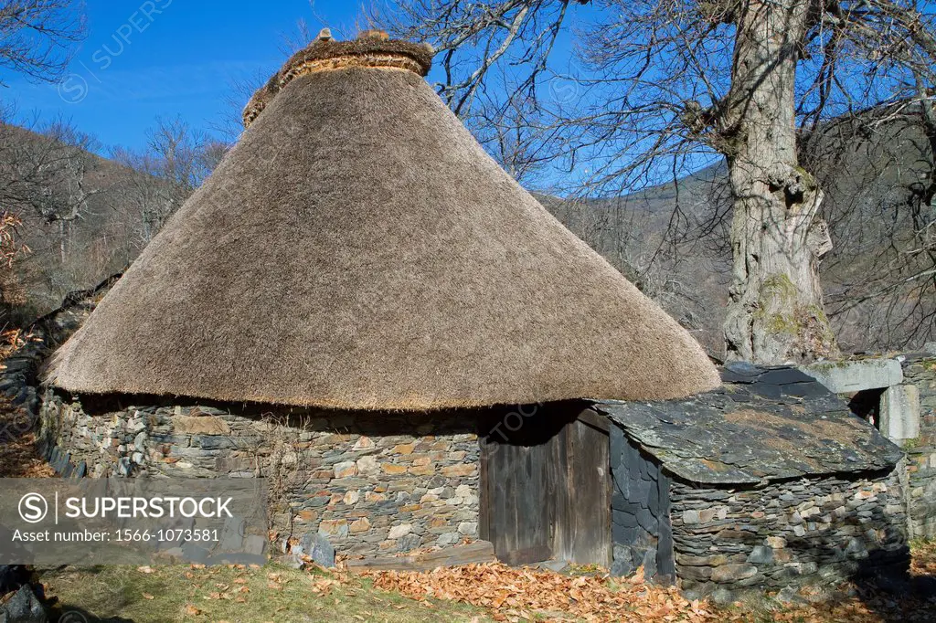 Typical and traditional house, called ´Palloza´ with vegetal roof rye, in Pereda de Ancares  Sierra de Ancares Space Natural  Biosphere Reserve of Sie...