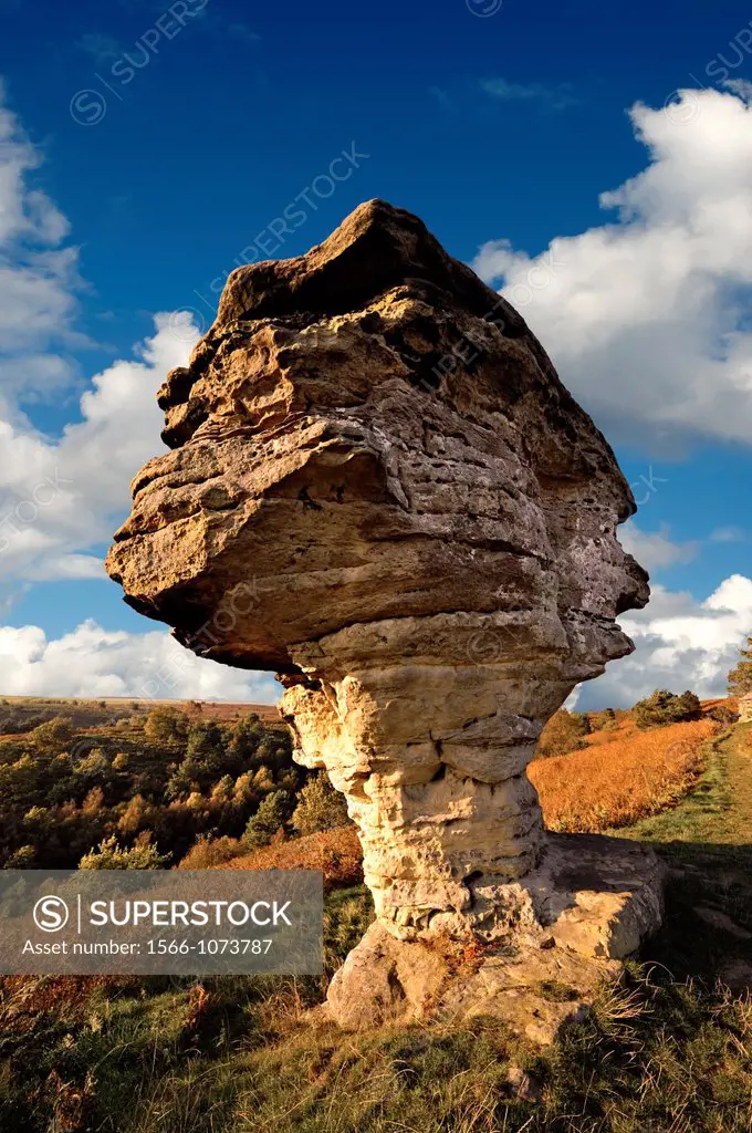 Bridestone rock formation in Dalby forest  Formed by softer sndstone being eroded faster that the limestone that is above it  North Yorks Moors Nation...