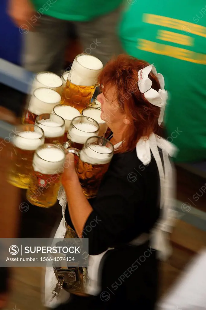 Waitress handing out beers  Images of the atmosphere inside the marquee Schottenhamel, which is the Festhalle carp oldest since 1867  Oktoberfest, Mun...