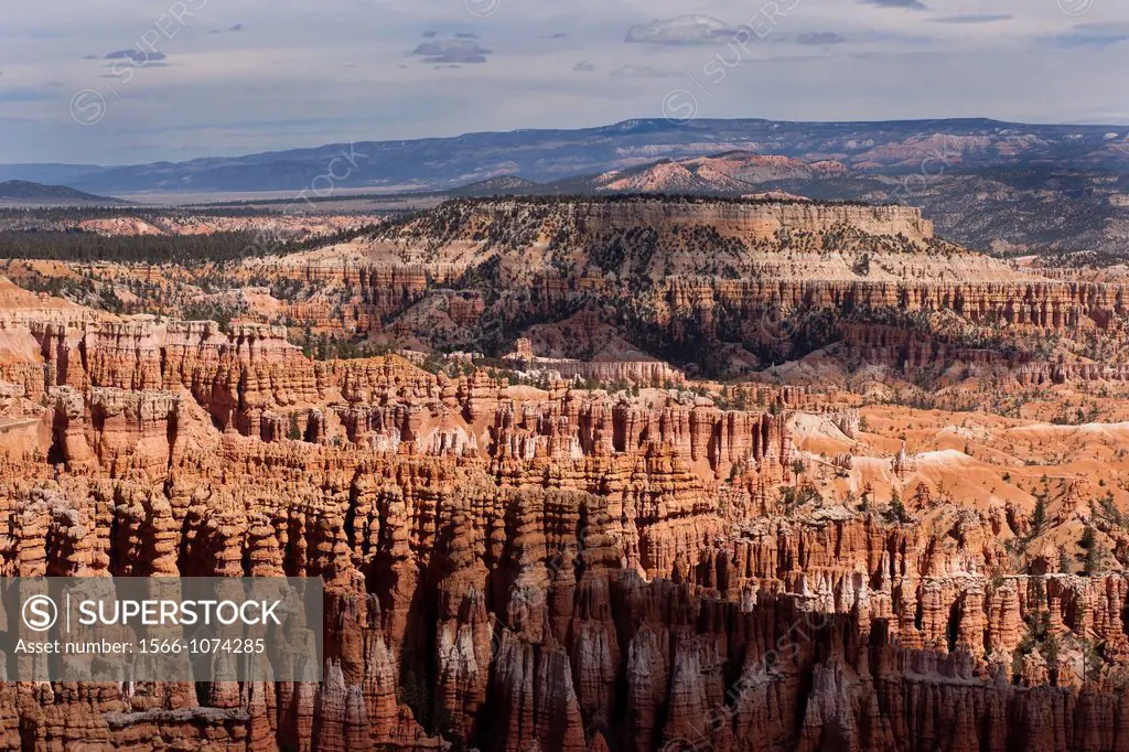 Sandstone spires at Bryce Canyon