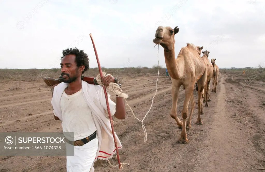 Ethiopian people living in the North of the country are related to Somali people They are nomadic and live from cattle farming Most of them however, l...