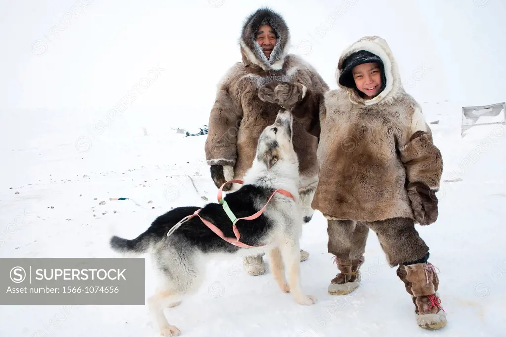 Gojahaven is a town in the far north of canada where 1000 IInuits are living Dogsledge is a traditional way of transport for the Inuits Howevere, it i...