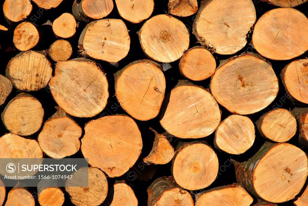 Around logs in a wood storage