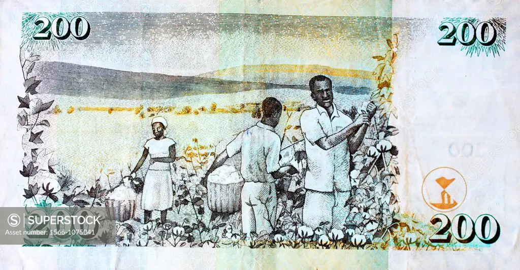 cotton harvest on a kenya shilling note