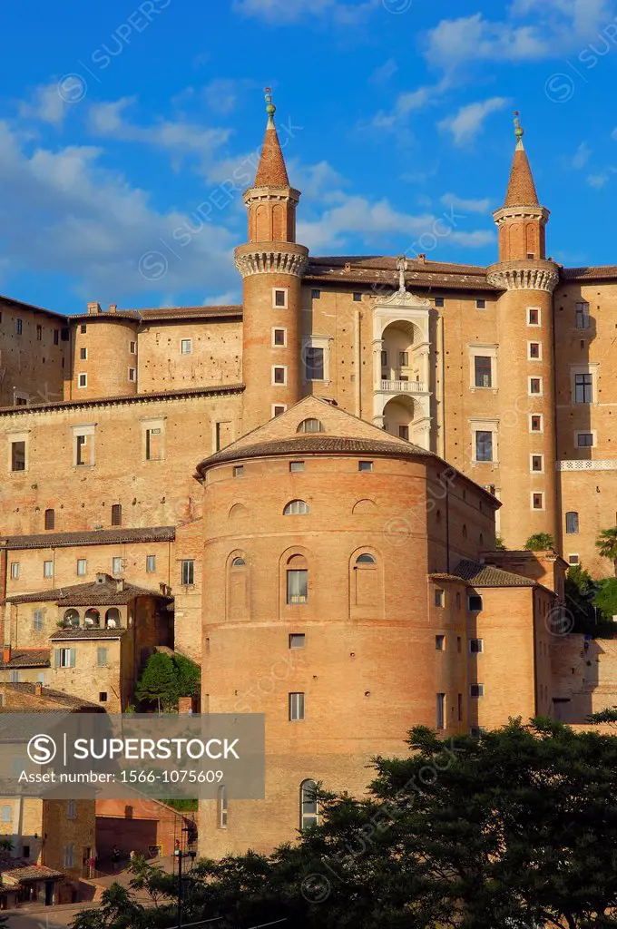 Urbino, Marche, Italy, Europe  UNESCO World Heritage site