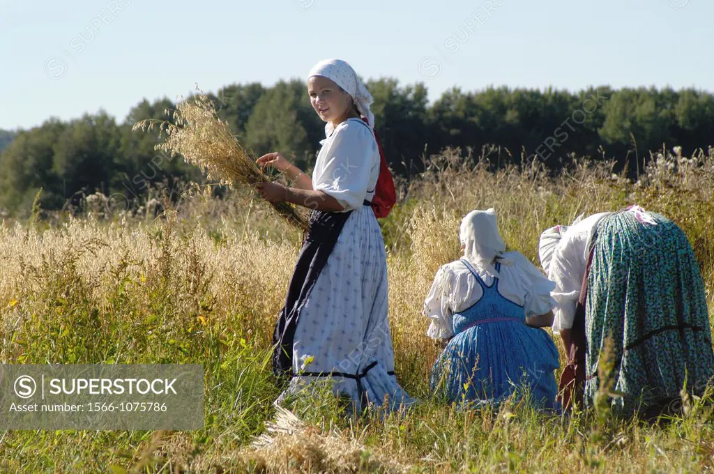 Russia, Karelia Republic, Lake Onega, Kizhi Island, Kizhi Open Air Museum, Women dressed in traditional peasant clothing harvest flax