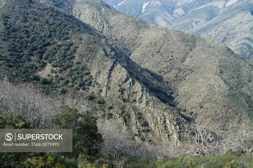 Quilamas valley, belonging to Biosphere Reserve of Sierra de Béjar and Francia  Salamanca province  Castilla y León  Spain
