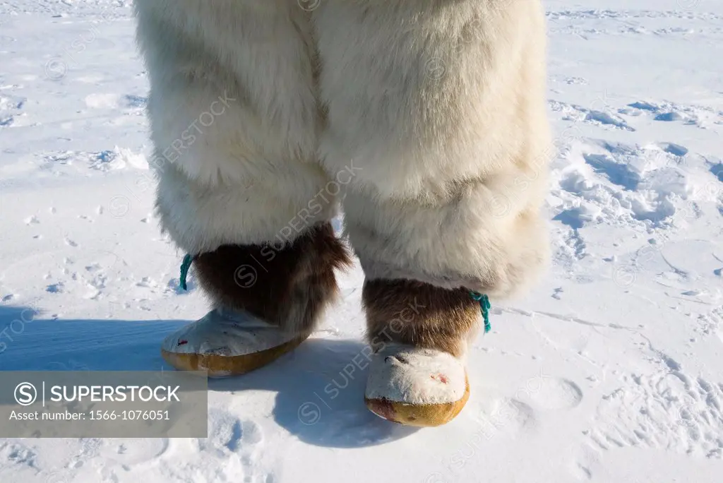 Gojahaven is a town in the far north of canada in 1000 where Inuits living Traditionally, Inuits hunt all kind of animals meant for their daily food c...
