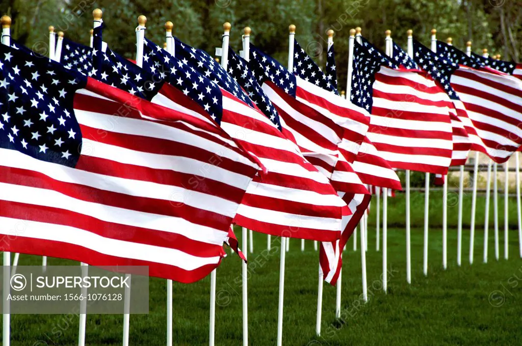 A Field of American Flags on Memorial Day Holiday ´Field of Honor´ at Merrill Park, Eagle, Idaho
