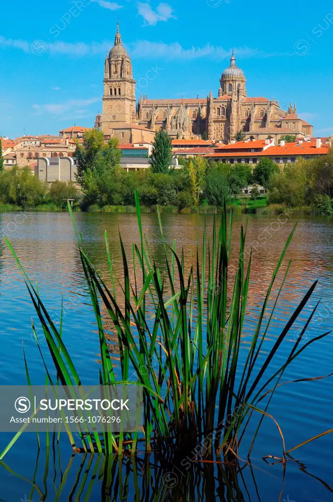 Cathedral and Tormes river, Salamanca, Castilla-Leon, Spain