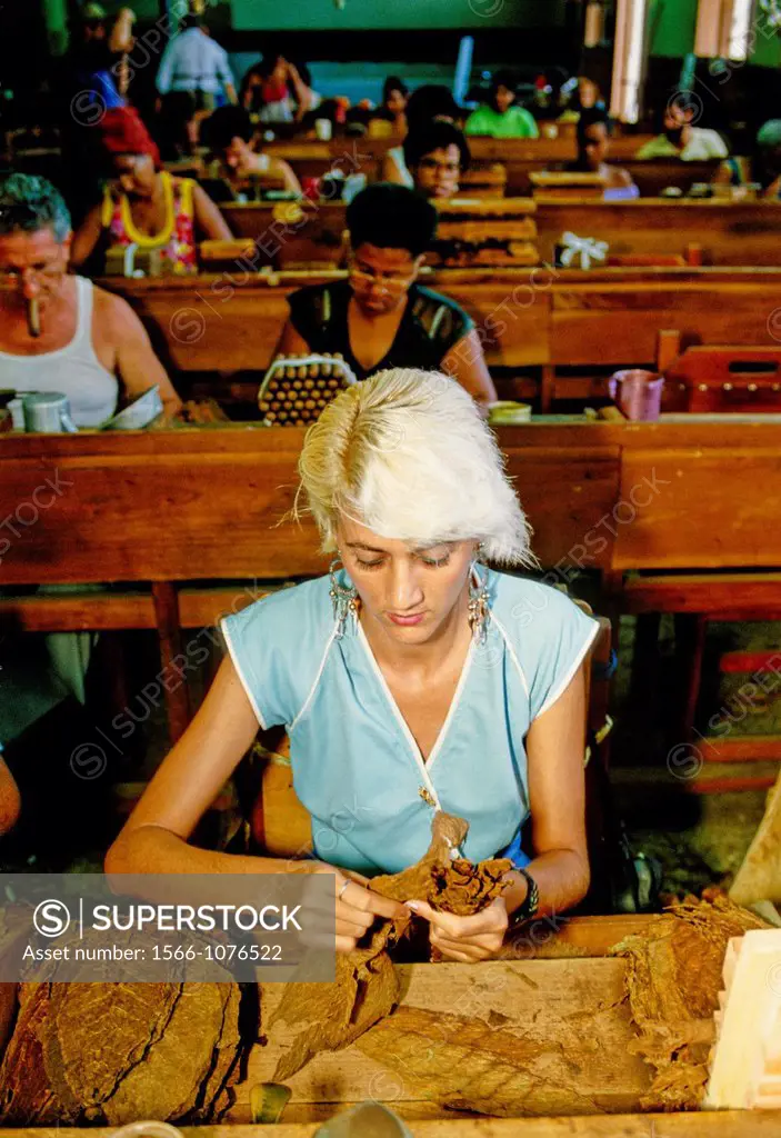 Cigar Manufactory, Havana