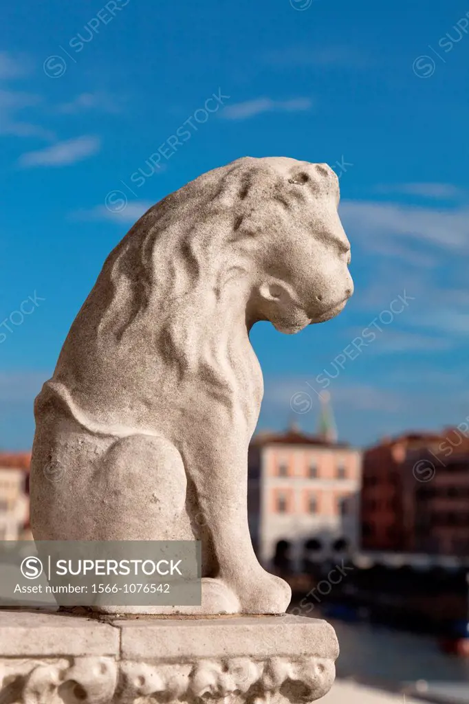 Marble lion on the balcony of Ca´ d´Oro golden house palace, correctly Palazzo Santa Sofia, is a palace on the Grand Canal in Venice, Italy, Europe