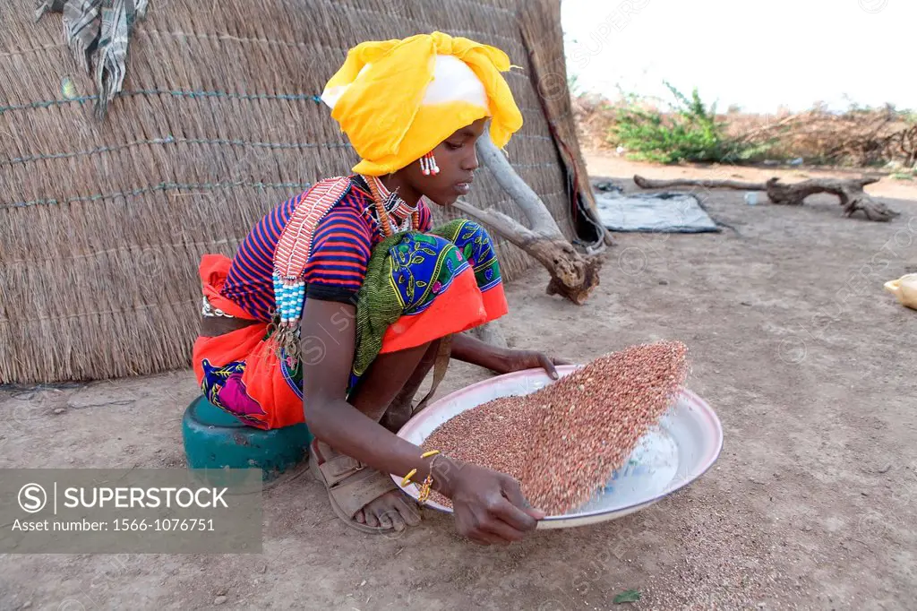 most important part of an Ethiopian meal is the Injerra, a sort of pancake made of ´Teff´ The injerra is eaten with hands The teff sorghum is first ...