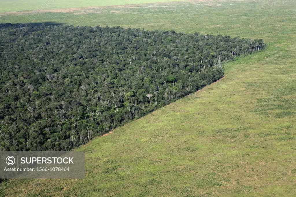 Destruction of the Amazon forest, Brazil.