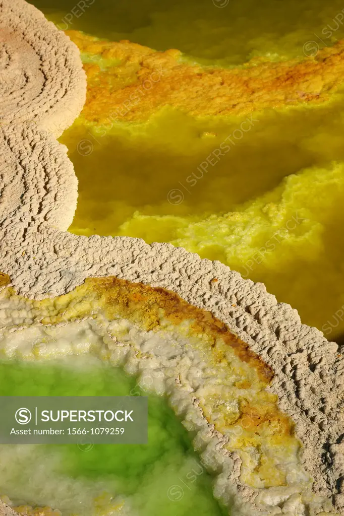Salt Formations on Saltwater Lake, Dallol, Danakil Desert, Ethiopia, Africa