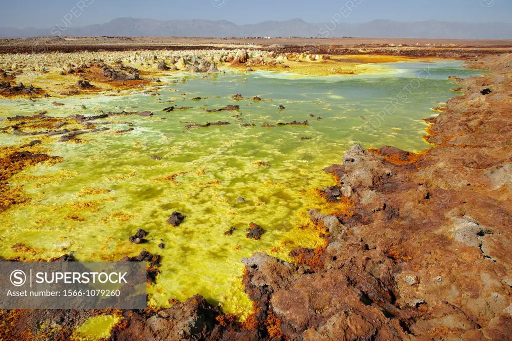 Salt Formations on Saltwater Lake, Dallol, Danakil Desert, Ethiopia, Africa