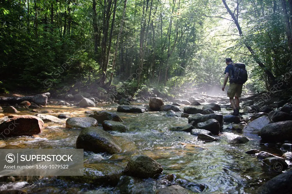 Hiker standing on rock in morning fog along Cedar Brook during the summer months in the Pemigewasset Wilderness of Lincoln, New Hampshire USA  This ar...