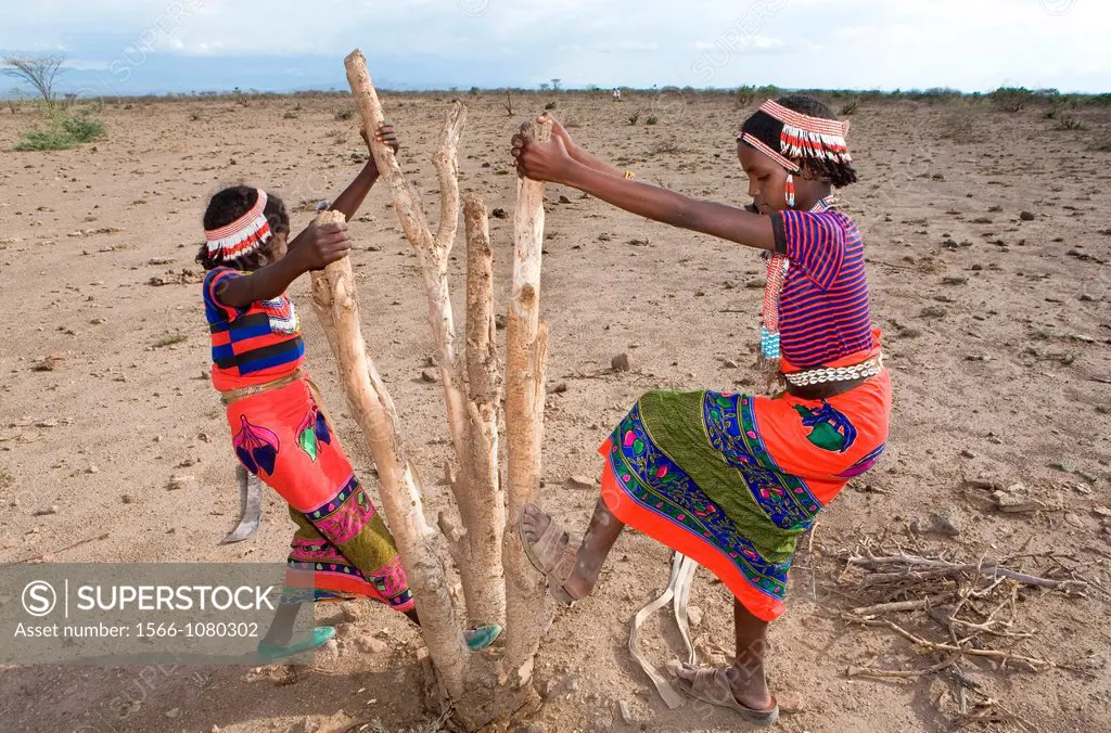 Ethiopian girls collect firewood for cooking Due to global warming and change in climate, there are less trees and therefore less firewood available