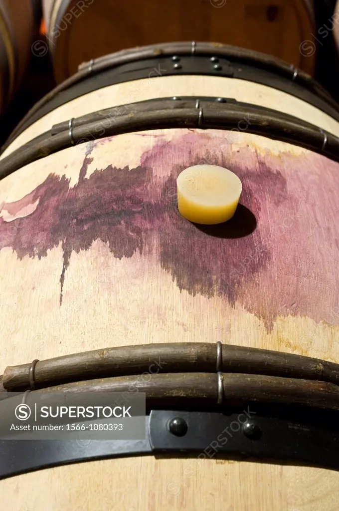 Red wine barrel, Burgos, Castilla-Leon, Spain