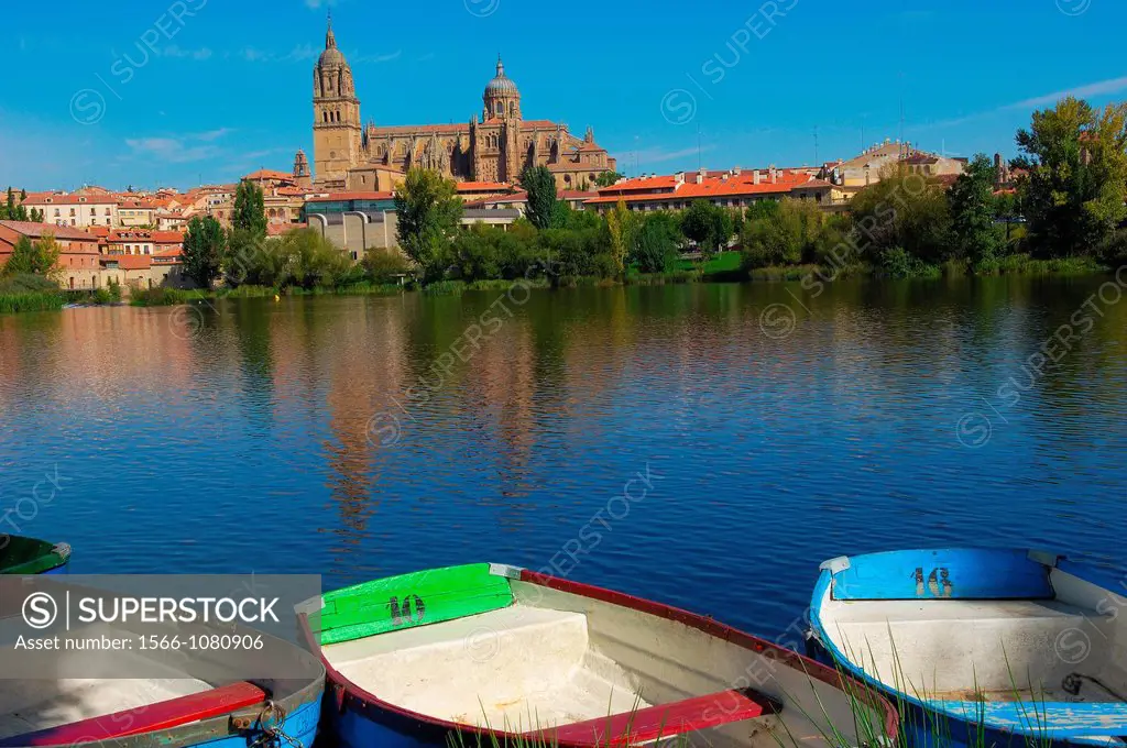 Cathedral and Tormes river, Salamanca, Castilla-Leon, Spain