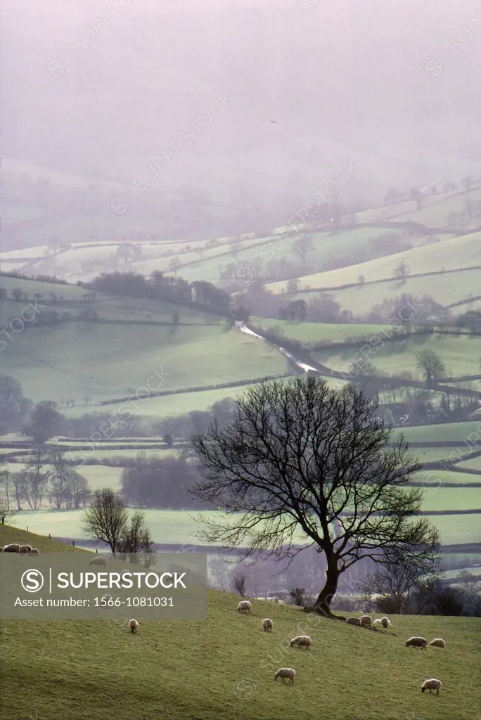 Winter landscape above Hundred House near Builth Wells looking south towards Llanbedr Hill, Powys, South Wales, United Kingdom