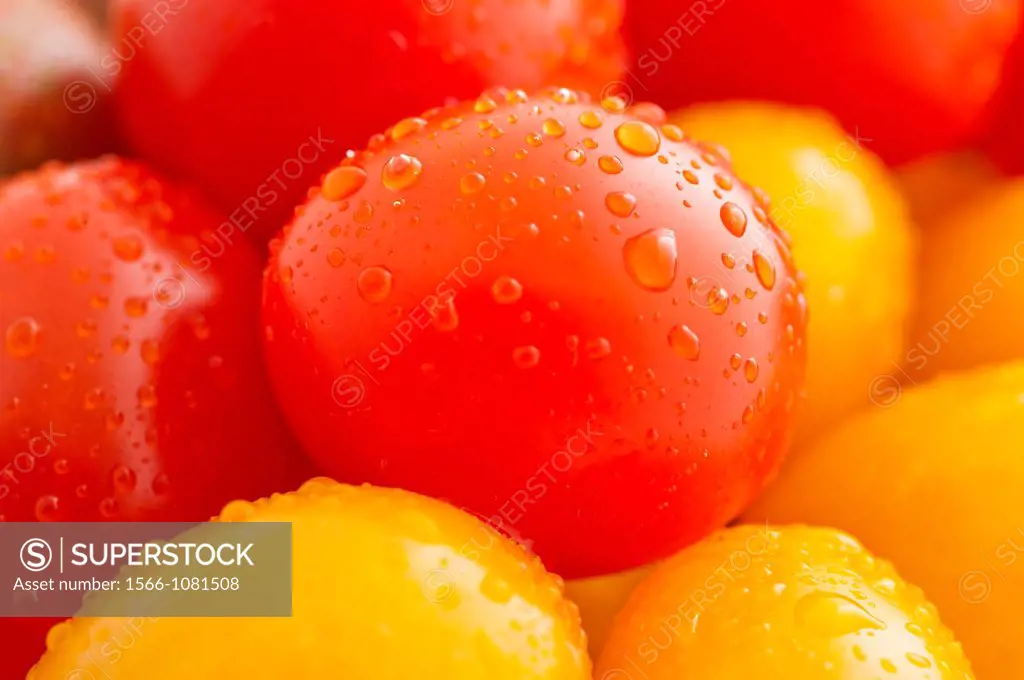 Extreme close up of red and yellow plum tomatoes