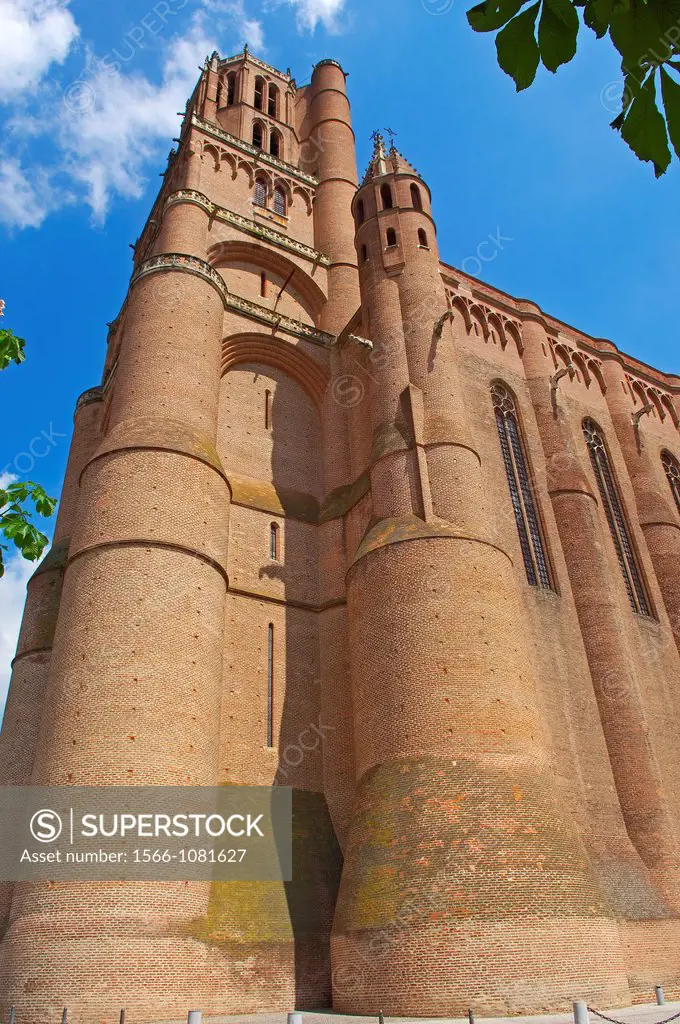 Cathedral of Saint Cecilia, Albi, Tarn, Midi-Pyrenees, France, Europe