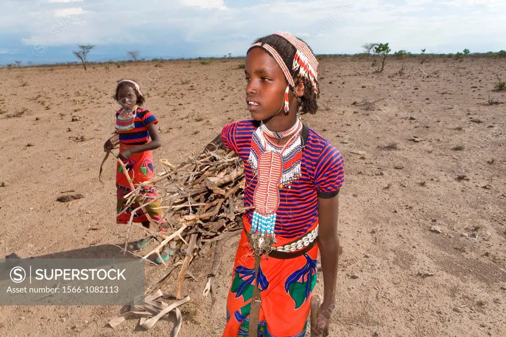 Ethiopian girls collect firewood for cooking Due to global warming and change in climate, there are less trees and therefore less firewood available
