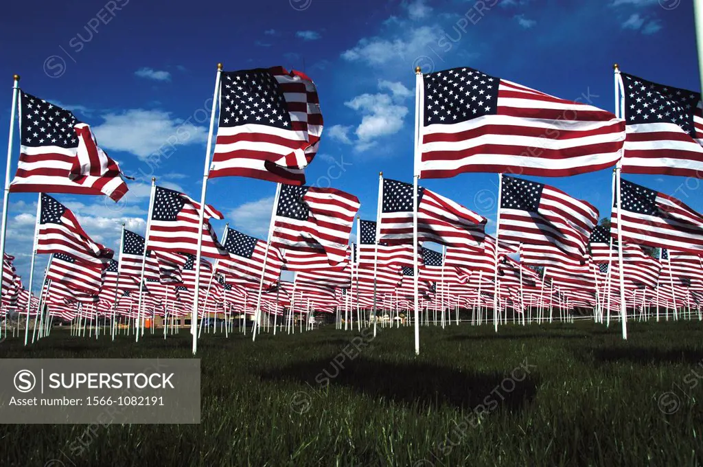 A Field of American Flags on Memorial Day Holiday ´Field of Honor´ at Merrill Park, Eagle, Idaho