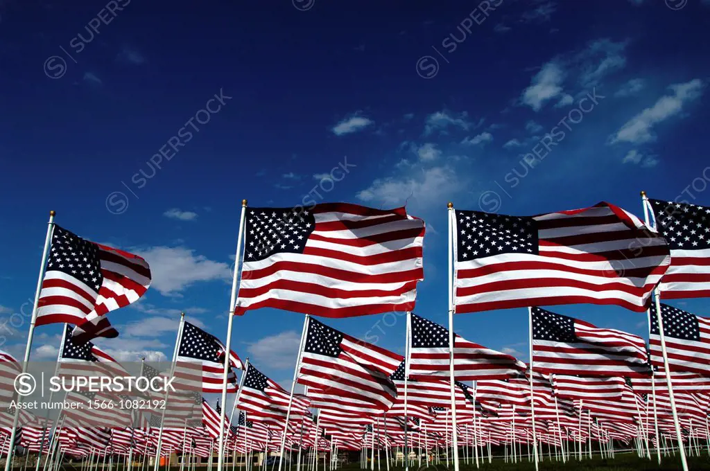 A Field of American Flags on Memorial Day Holiday ´Field of Honor´ at Merrill Park