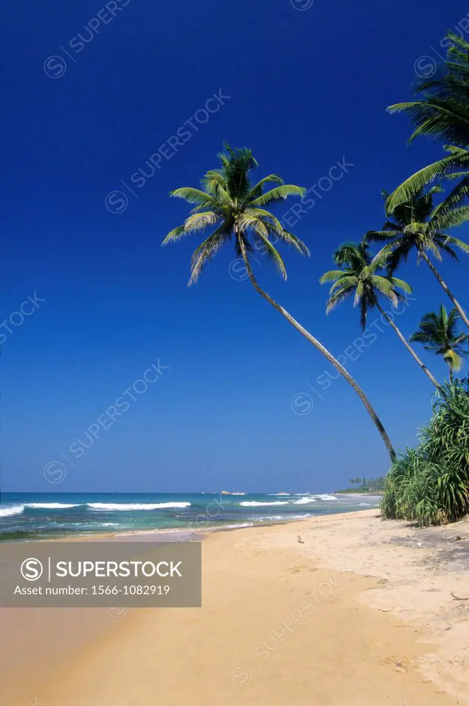 Beach of Bentota, Sri Lanka