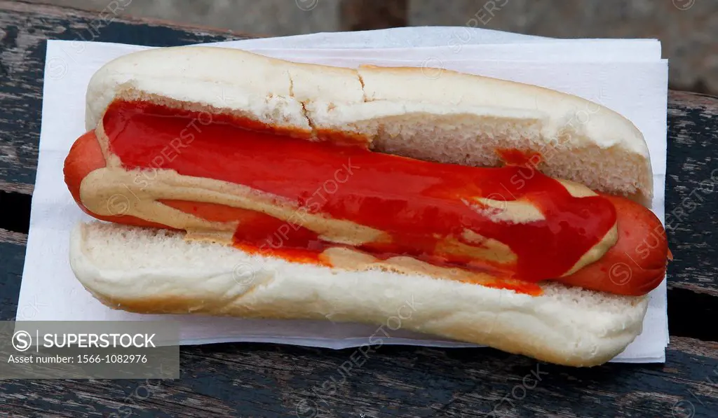 Hot dog , new york , america