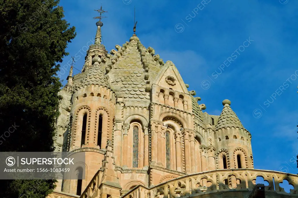 Old Cathedral of Salamanca, city declarated World Heritage by UNESCO  Castilla y León  Spain