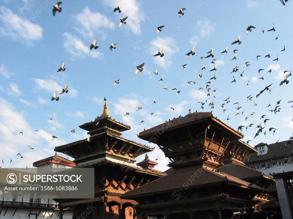 Pigeons are flying over old Durbar and Basantapur square, Katmandu