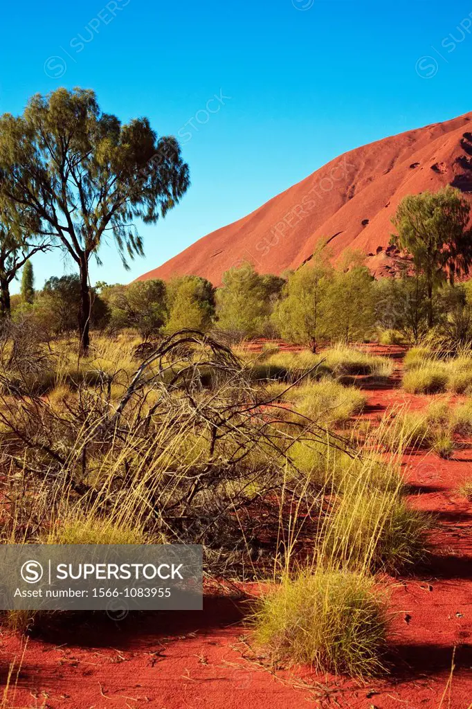Uluru detail
