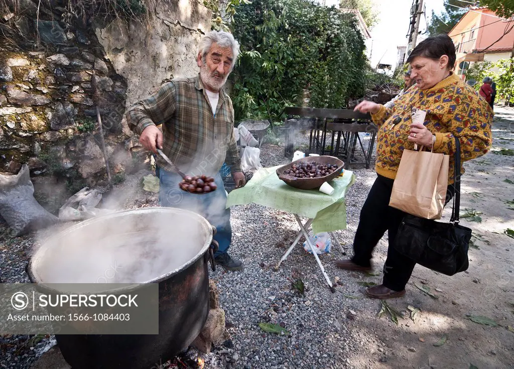 Boiling chestnuts at the Arna chestnut festival, held on the last weekend in October, high on the slopes of the Taygetos mountains, Lakonia, Peloponne...