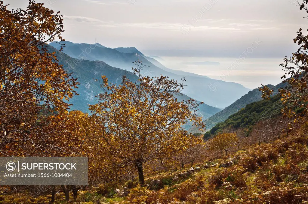 Autumn in the Taygetos mountains looking south toward the Deep Mani, from above Kastania in the Outer Mani, Southern Peloponnese, Greece