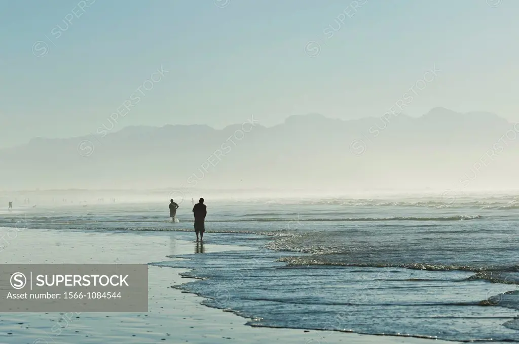 Walking along the low tide line searching for shells washed up by the high tide  Muizenberg beach, Cape Town, South Africa