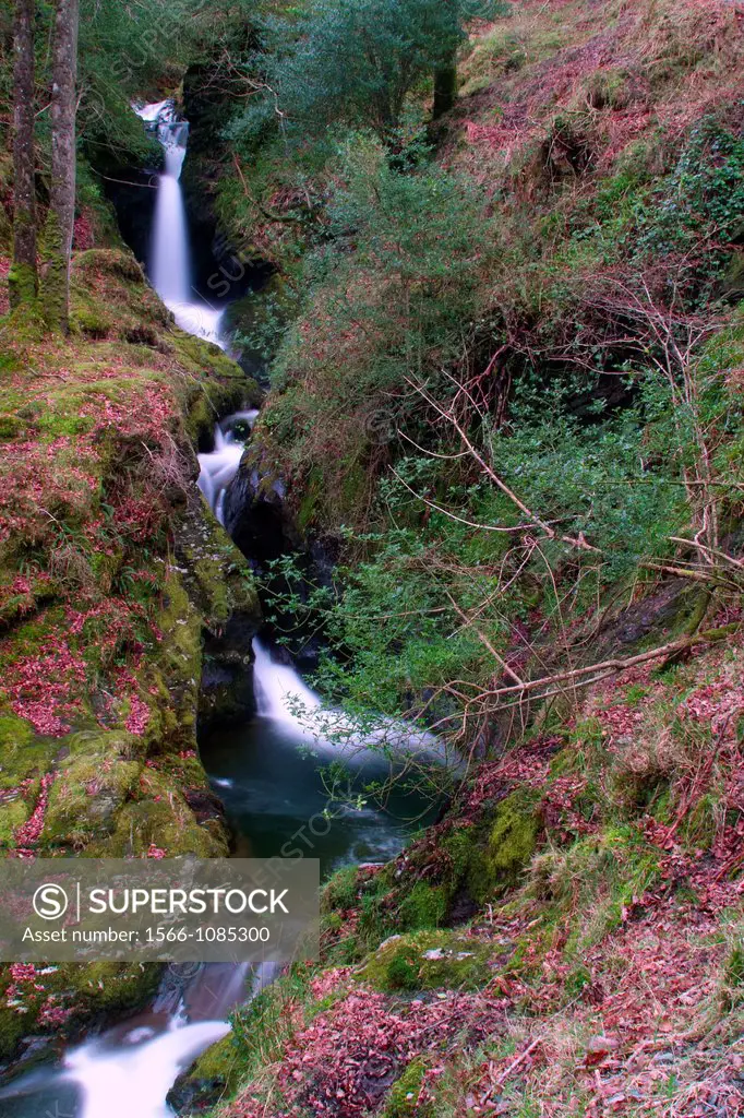 Poulanass waterfall at Glendalough, County Wicklow, Ireland
