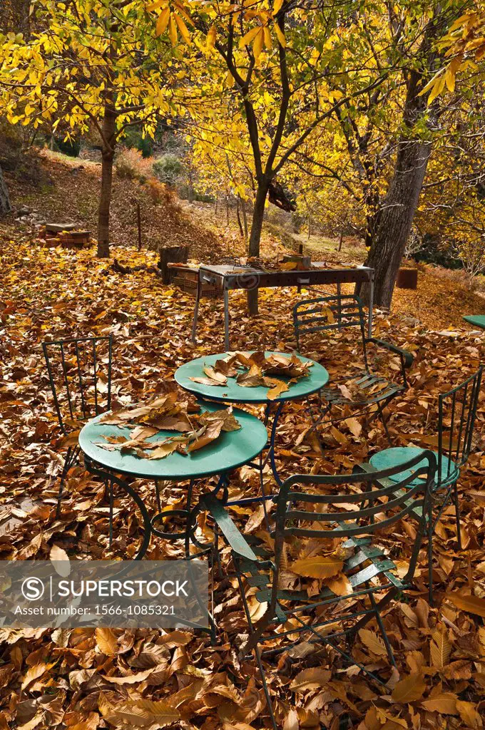 Autumn leaves litter the ground and cafe tables, in the Taygetos mountains near Kastania, Outer Mani, Southern Peloponnese, Greece