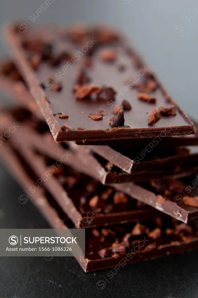 Chocolate  Patrick Roger  France