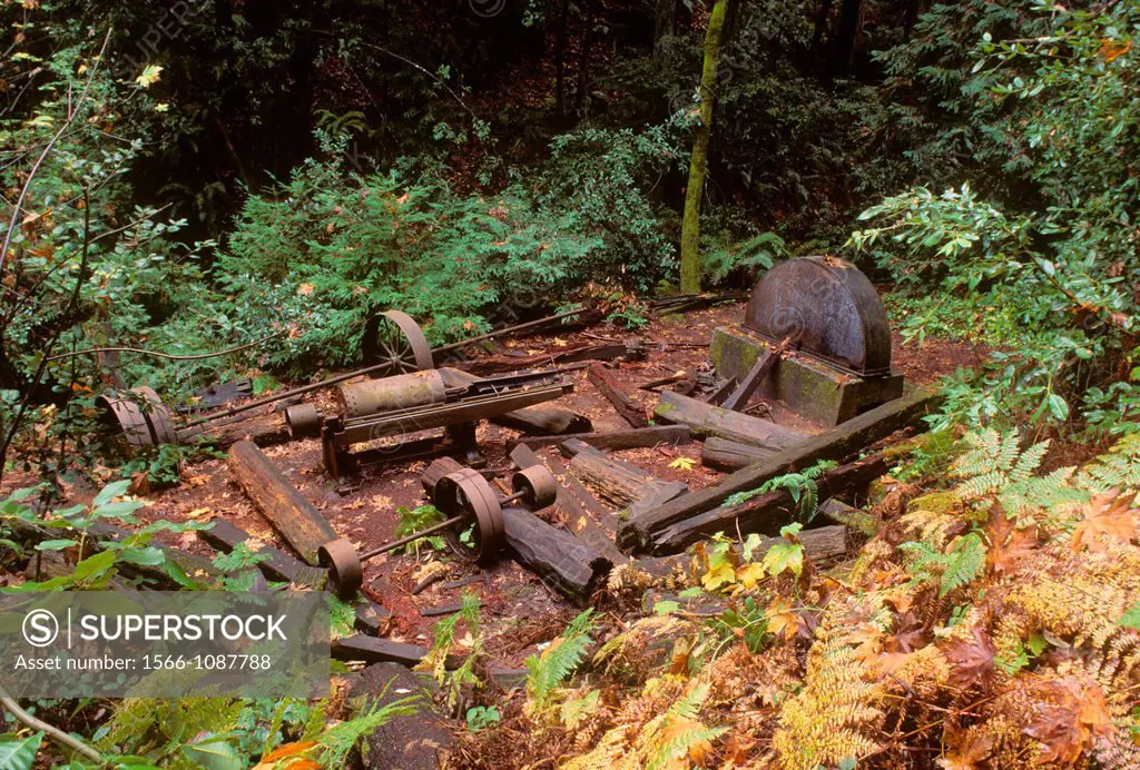 Mill ruins, Fall Creek Unit-Henry Cowell State Park, California