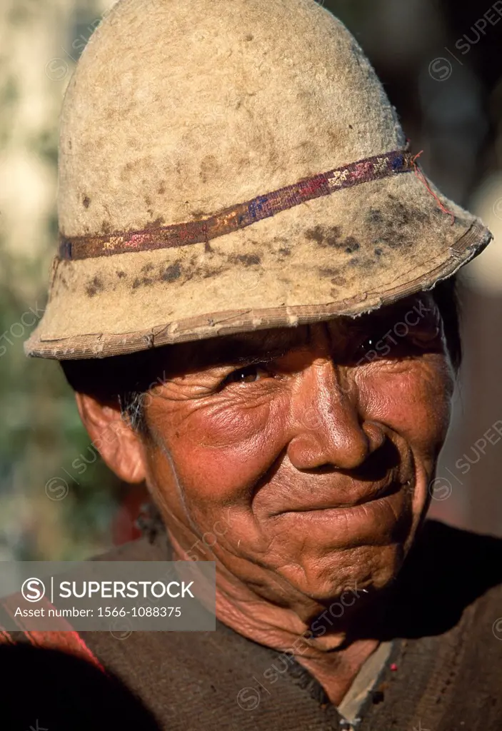 Farmer, Potosi, Bolivia