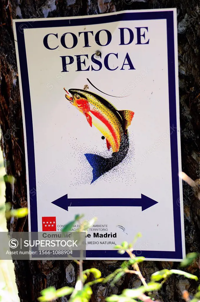 Fishing preserve in the Picadas, Madrid