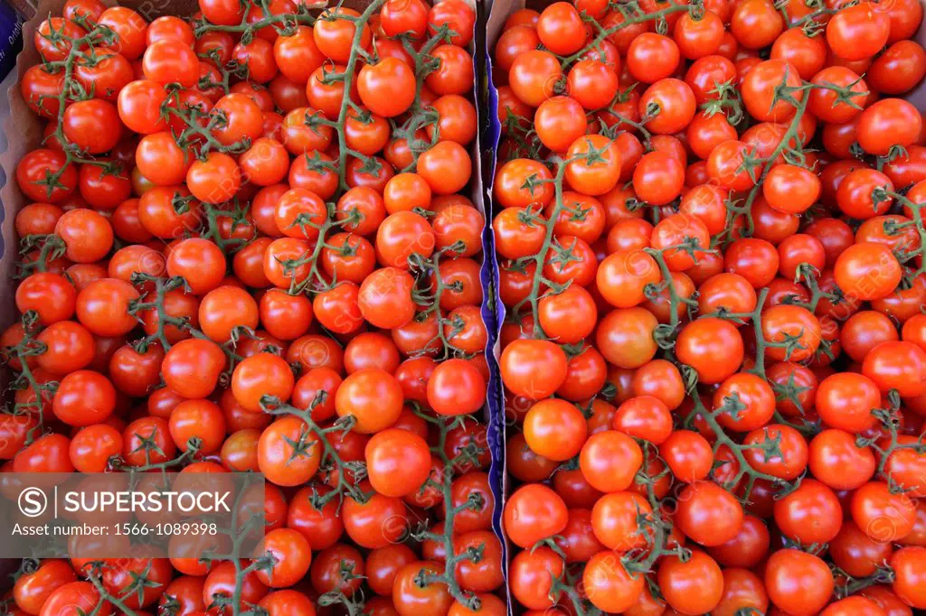 Pachino tomatoes at traditional Ballarò market, Palermo, Italy