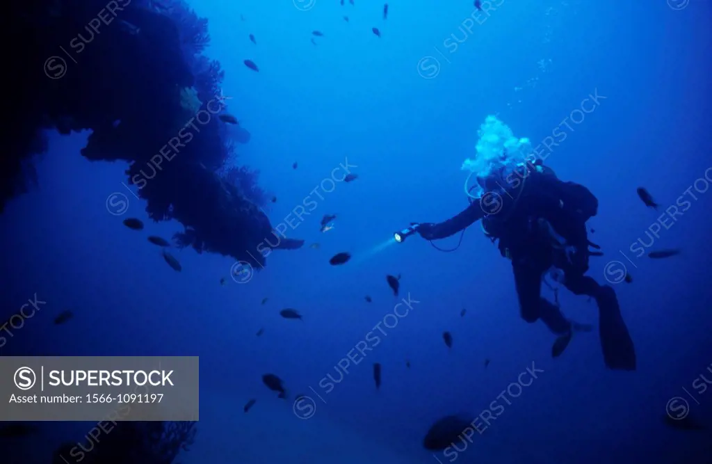 Scuba diver exploring underwater surrounded by a school of fish