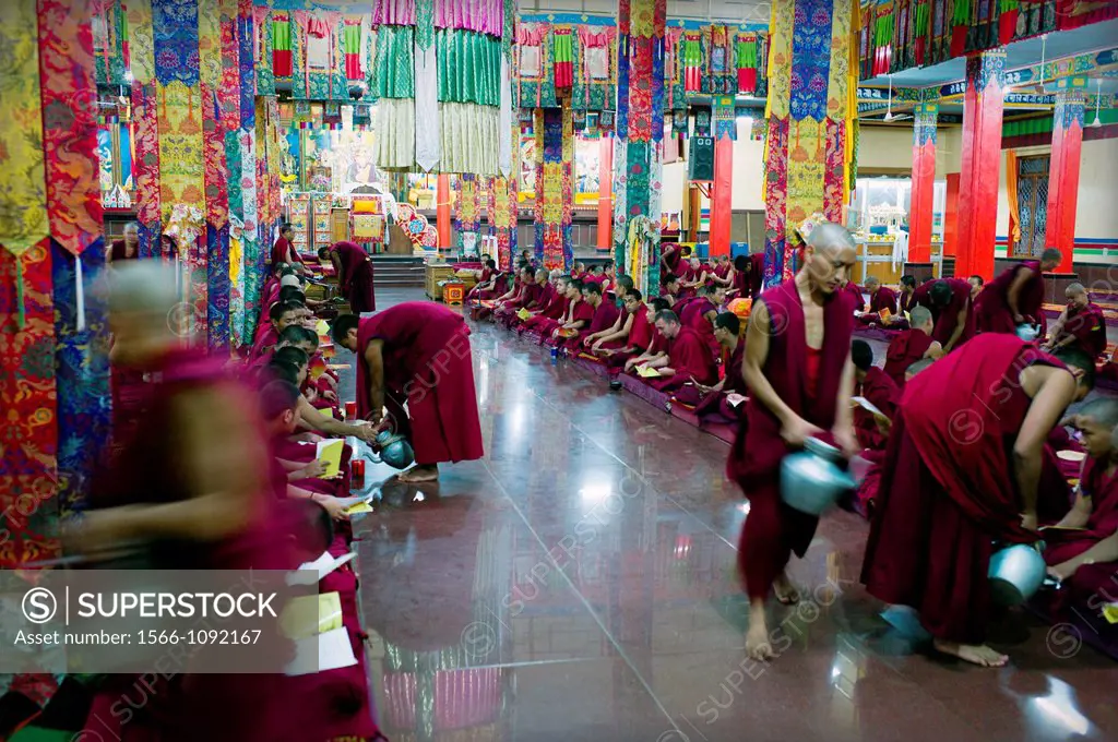 servicio religioso, monjes budistas, monjes budistas tibetanos, estudio, lectura, educación, meditación, servicio religioso, sirviendo te, comiendo, c...