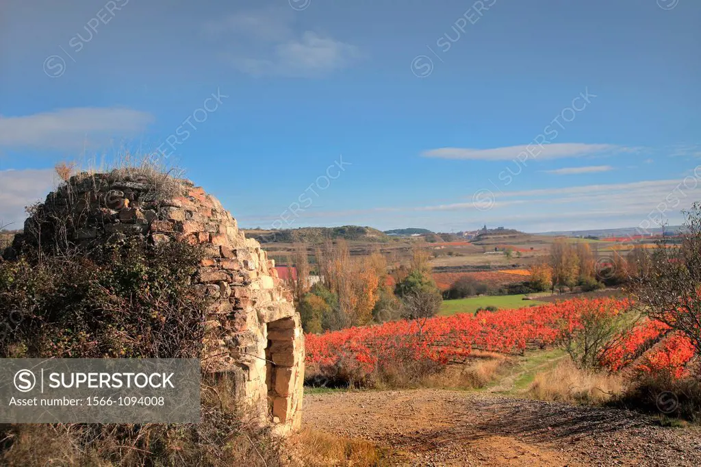 Moreda autumn scape, Alava, Spain