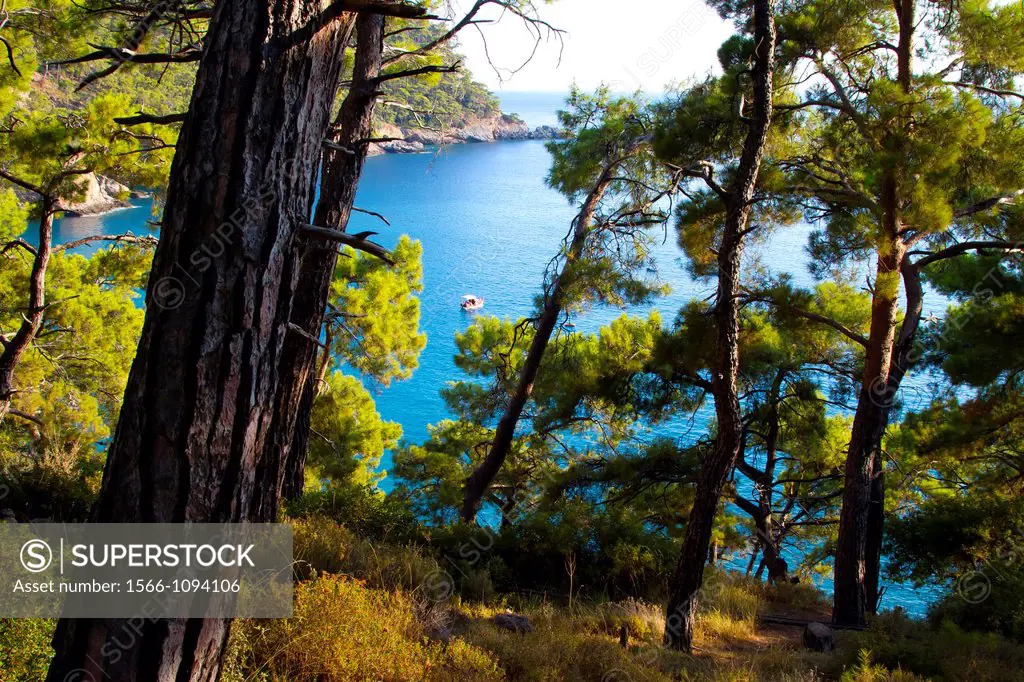 Forest and coastal landscape  Kabak Valley  Lycian Way  Mugla province, Aegean coast, Turkey